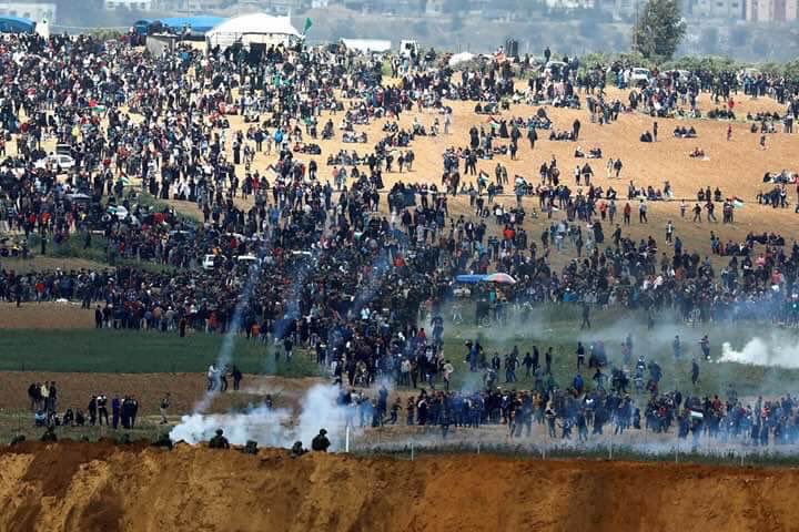 _iii2ei's tweet photo. آليوم هو يوم الارض، يوم الحبيبة الأسيرة فلسطين التي أشغلتنا عنها إيران اللعينة وانصارها وأولادها مدعين العروبة بيننا الذين أحرقوا بلادنا وبلاد العرب وتركوا إسرائيل المغتصبة في راحة وامان طويل !
#يوم_الارض_الفلسطيني https://t.co/kxsDbowfSL