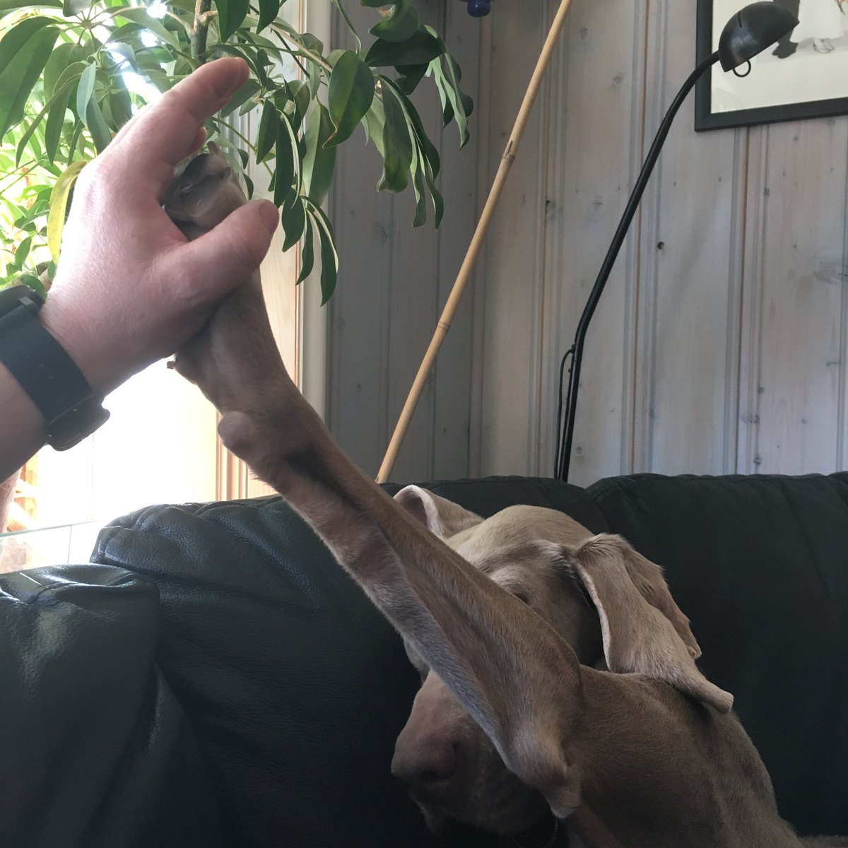 LineTHagen's tweet image. 