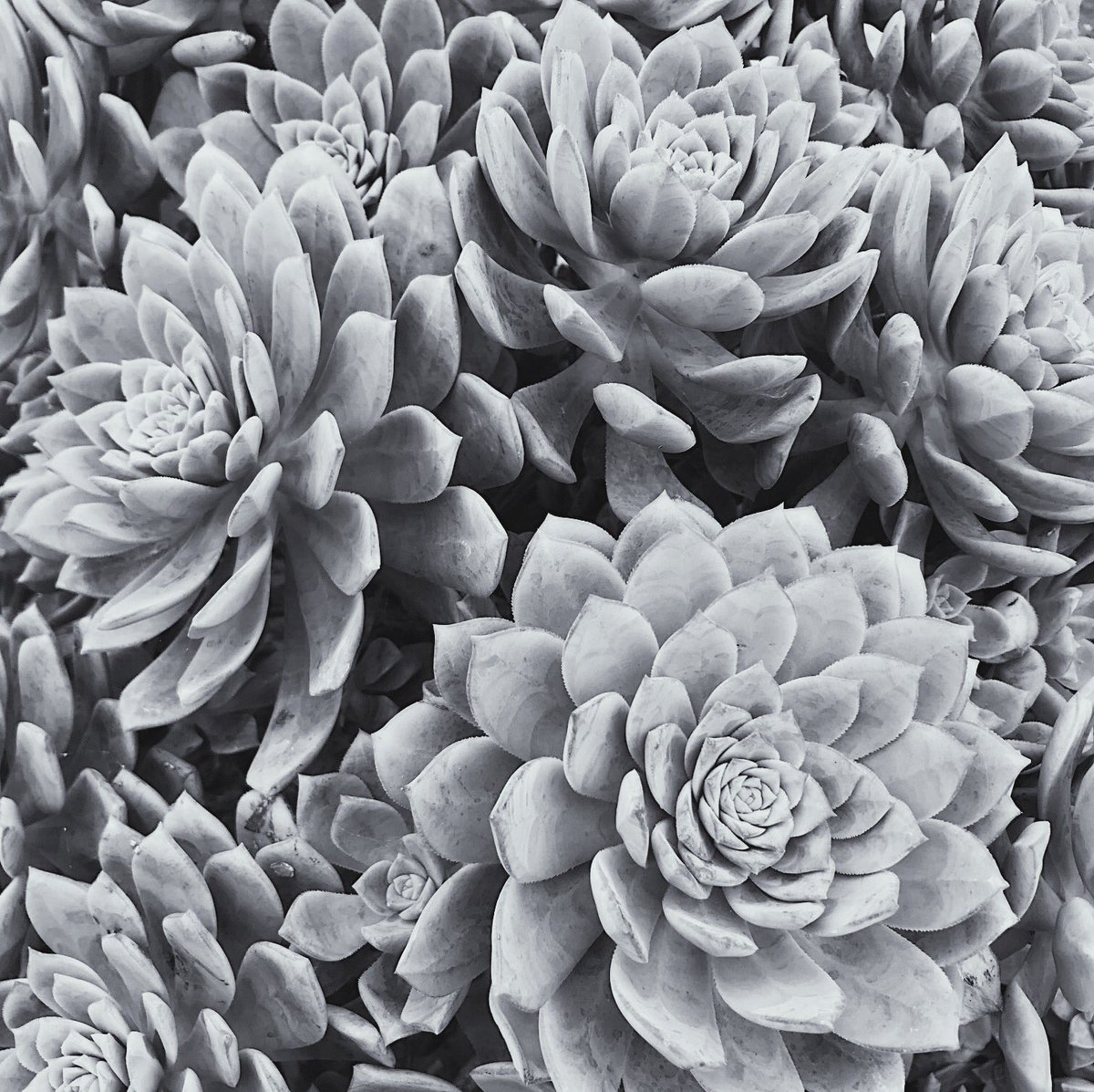 orangeandpark's tweet photo. Spring sale! Enjoy 20% off with discount code SPRING2018 at https://t.co/cpHSKfg66W. Complimentary USA shipping on orders over $40. This weekend only! https://t.co/3hsu7CAz96