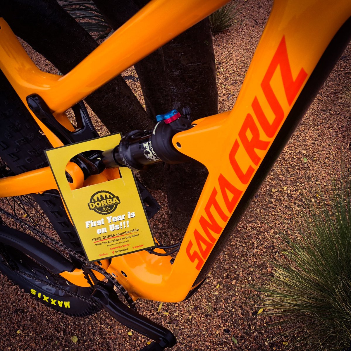 We've recently teamed up with dorba.org to give away a free 1 year membership anytime you buy a new mountain bike that is priced $999 &amp; up. 

Learn more here: bikemart.com/articles/clubs…
#RideLocalShopLocal #WeAreRBM