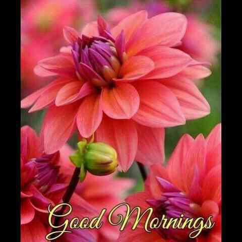 Enjoy wonderful time