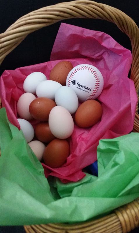 datasync's tweet image. DataSync and Flywheel wishes everyone a Happy Easter Holiday Weekend! Our offices will be closed Friday, 3/30/18. See you Monday!