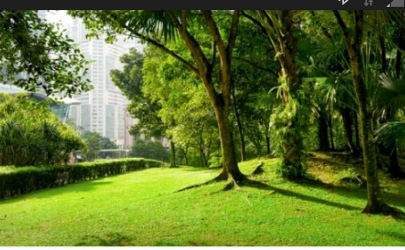 MiniOpener's tweet image. Today is take a walk in the park day.
What a great day to go out and enjoy the beauty this land has to offer.#walkintheparkday#walkinthepark#park