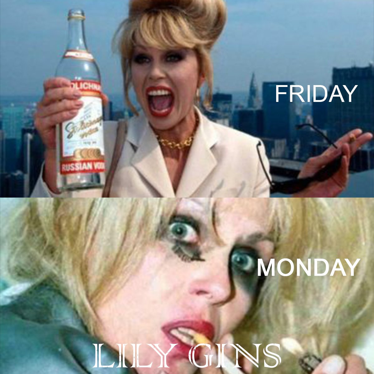 #HappyBankHolidayWeekend guys... who else thinks this is a little bit too relatable? We're sure the weekend's antics will make it all worth it... Hit us up for Cheltenham's fave cocktails! #LilyGinsLoves #BankHoliday #Weekend #FourDayWeekend #Cocktails