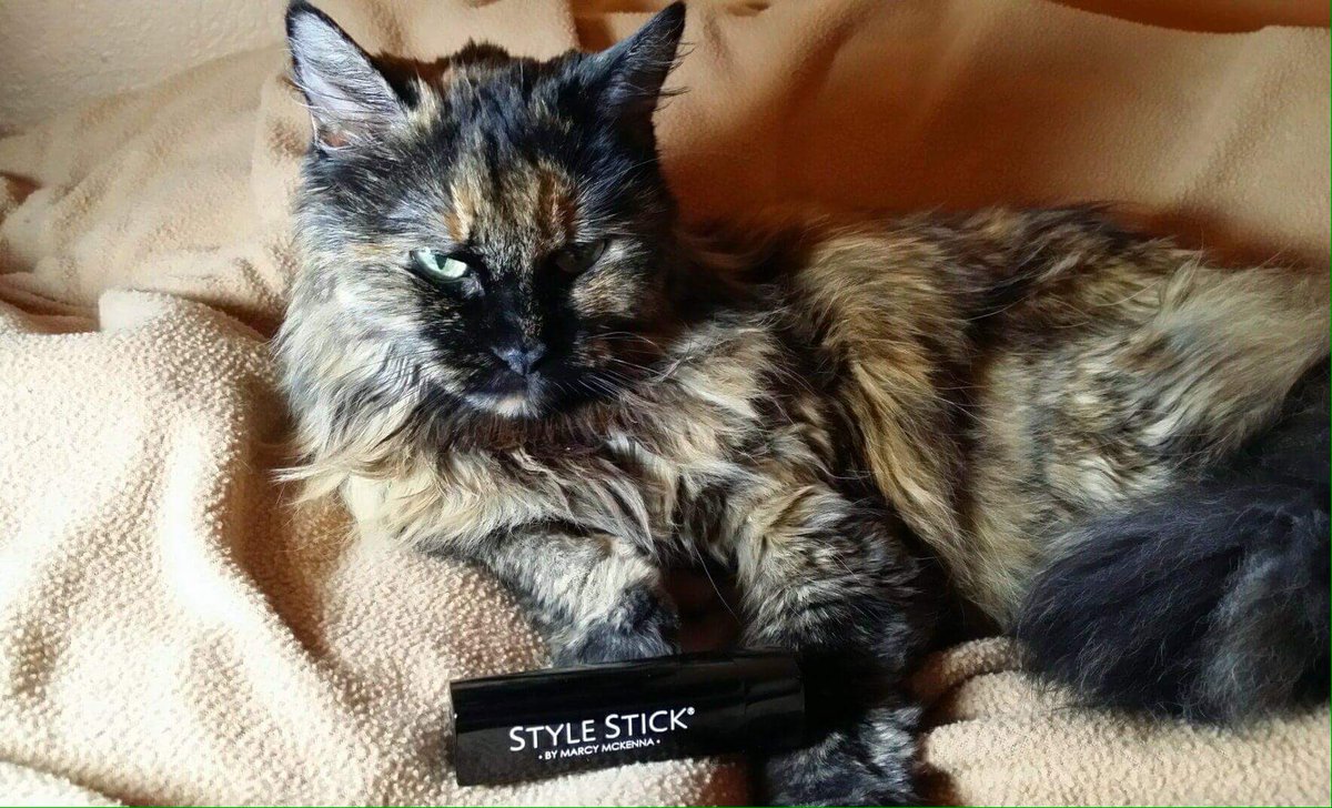 TheStyleStick's tweet image. Why are you doing this to me?  I'm not a product model.