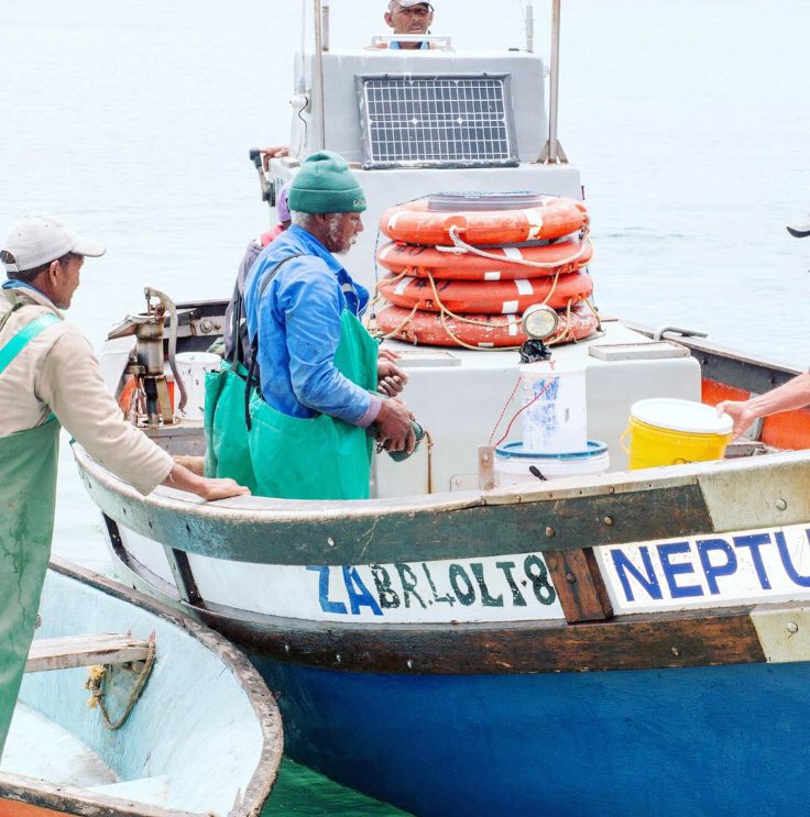 abalobi_app's tweet photo. We’re exploring community-based #safetyatsea systems for access to early warnings &amp; emergency responses in #smallscalefisheries. Integrated w @abalobi_app, safety tracking data affords opportunity for full traceability 🐟 for fully documented fisheries 👉 https://t.co/G0Iw3T8APS https://t.co/EaoOILOUDl