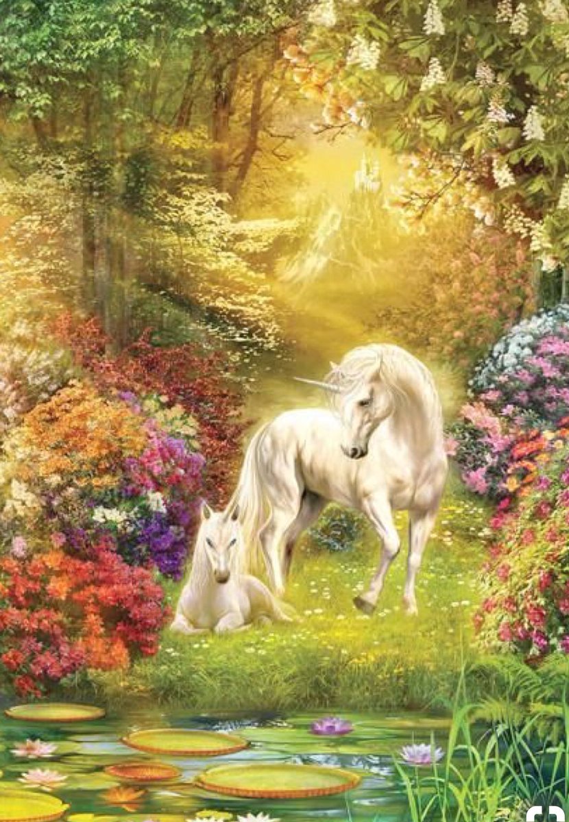 esanbornumw's tweet photo. @ds106dc #ds106 #theend106 #tdc2272 Enchanted ✨💫 https://t.co/Ef4HjYRT9p