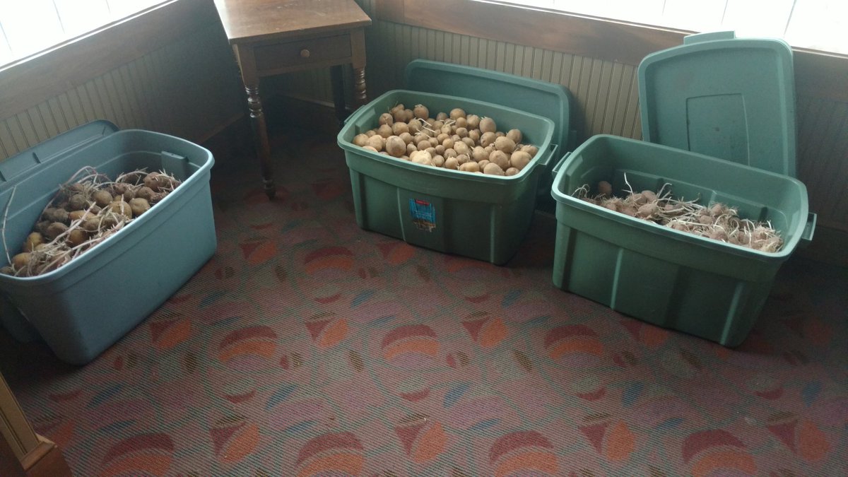 Thanks to a very generous donation, Together We Grow will be planting ALOT of potatoes this year!! Now if the weather would just clear up.....