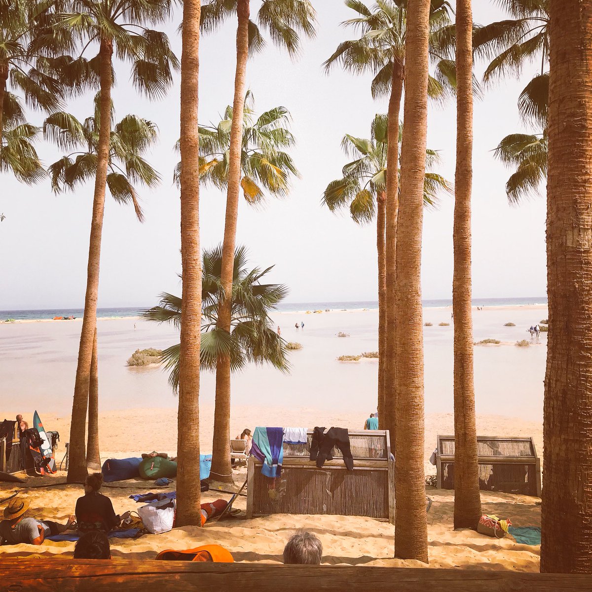DriftToMe's tweet photo. Lagoon through the palms. Amazing #kitesurfing spot @iFuerteventura https://t.co/y0oDHtF4mx