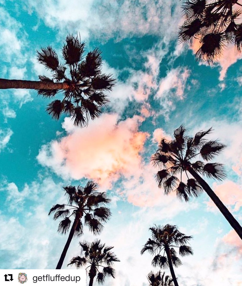 SplurgeWorks's tweet image. 'Scuse me while I eat the sky. Get fluffed up with these cotton candy clouds. Ps. We deliver. #Repost @getfluffedup with @get_repost
・・・splurge.works 
📷: @ryanlongnecker
.
.
#getfluffedup #goodvibes #sdlife #supportlocal #sandiego #cottoncandy