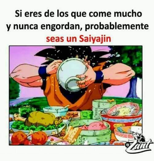 Poly04190816's tweet image. 