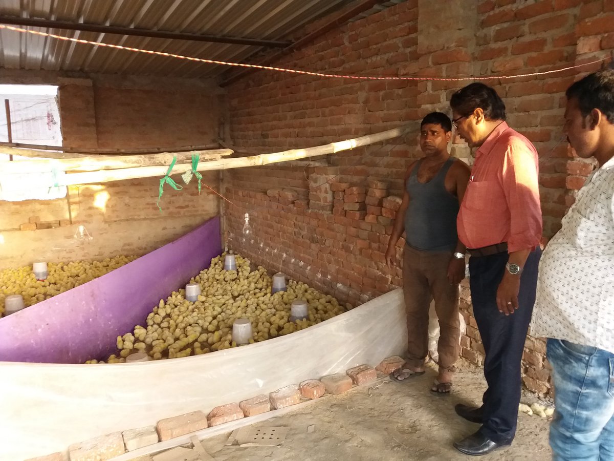 dwivedipravinkr's tweet photo. #KVK Bhojpur evaluated the #innovative #Bater/#Japanese #Quell #Farmer, Jitendra Singh,(Mo no- 7070706291) #Baruna,#Bihiya, #Bhojpur #Hatchery, Five lakh #chicks per year having 26 #outlets in different #Districts of #Bihar with #Gross turn over 7.5 million #INR. https://t.co/zW9aVvsSFH