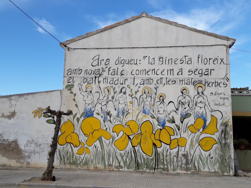 CDR_SJE_EM's tweet photo. Ja hem acabat! El nostre mural per la República ja està acabat! #PrimaveraCatalana #repúblicacatalana #laginestafloreix #cdr #cdrcat https://t.co/R4MqHct7mb