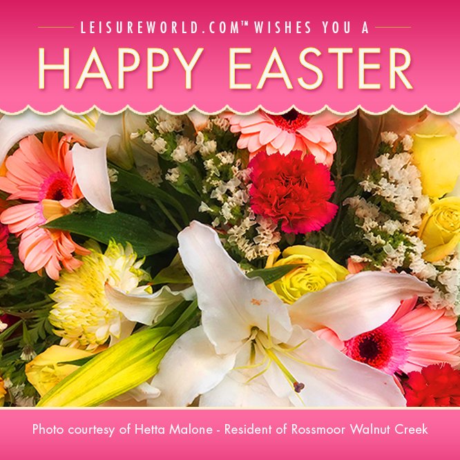 Leisure World tweet media