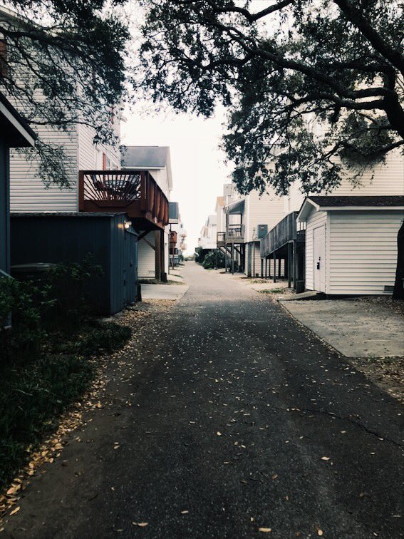 edwardsbreannaa's tweet photo. Oh dirty Myrtle, you have my heart. ❤️ https://t.co/75hLis8ApQ