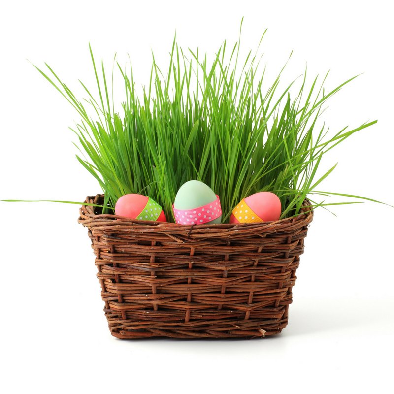 proplatinumkc's tweet photo. We hope everyone has a wonderful Easter weekend!
https://t.co/UH09X4WEva  
#Easter #kids https://t.co/Ea5hFXkTEe