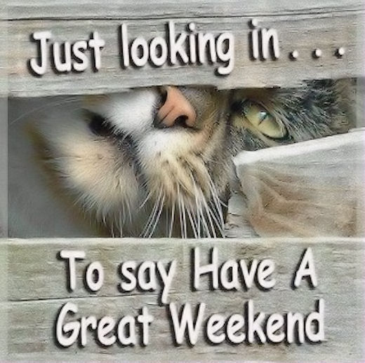 fngirlnms's tweet photo. #authorsl #ff Have an awesome weekend everyone β€ @amit_singh2506 @JoyHorny1 @davidscottauth @MA_books @BlackReign63 @ZakHardacre @NOTM_1 @AlDaltrey @badboy_JKane @EthanRadcliff40 https://t.co/a4V4eOqezX