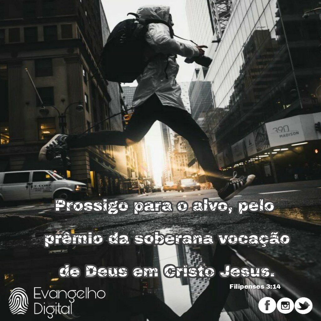 Imagem relacionada