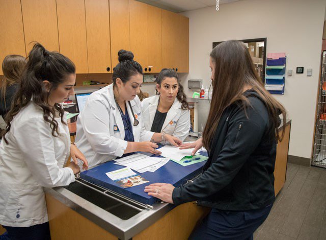 Hey associates! #DYK over ⅓ of our DVM hires in 2017 were from associate referrals? Do you know a DVM that would be a great edition to the <a href="/Banfield/">Banfield Pet Hospital</a> family? Submit your referral here: jobs.banfield.com/connect-with-us