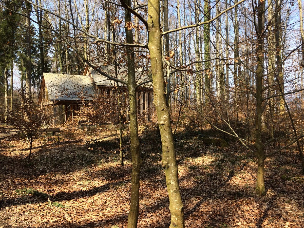 Ichhebgleichab (@ichhebgleichab) on Twitter photo 