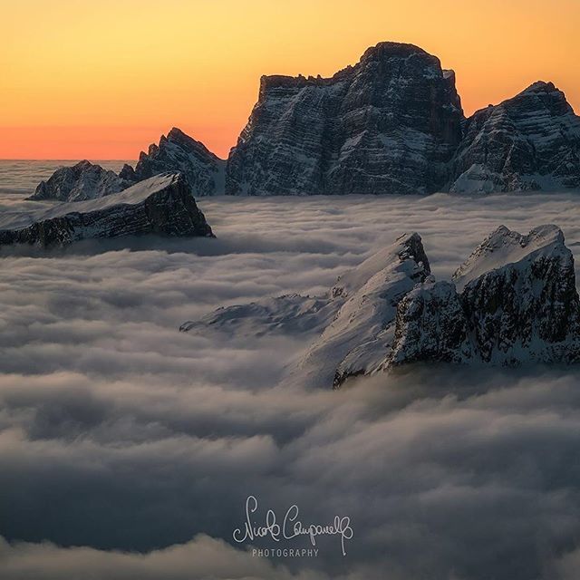 FrancescoVidott's tweet photo. Dell’oceano di nubi emergono i giganti di pietra.
Sollevano i nasi a fiutare il cielo.

#dolomiti #dolomites #mountain #rock #sky #landscape #cielo #fvrocklife #sempreinpiega #lecosepiubellesonogratis #life #love #cadore 
By Nicola Campanella https://t.co/B3zFUduUCO
