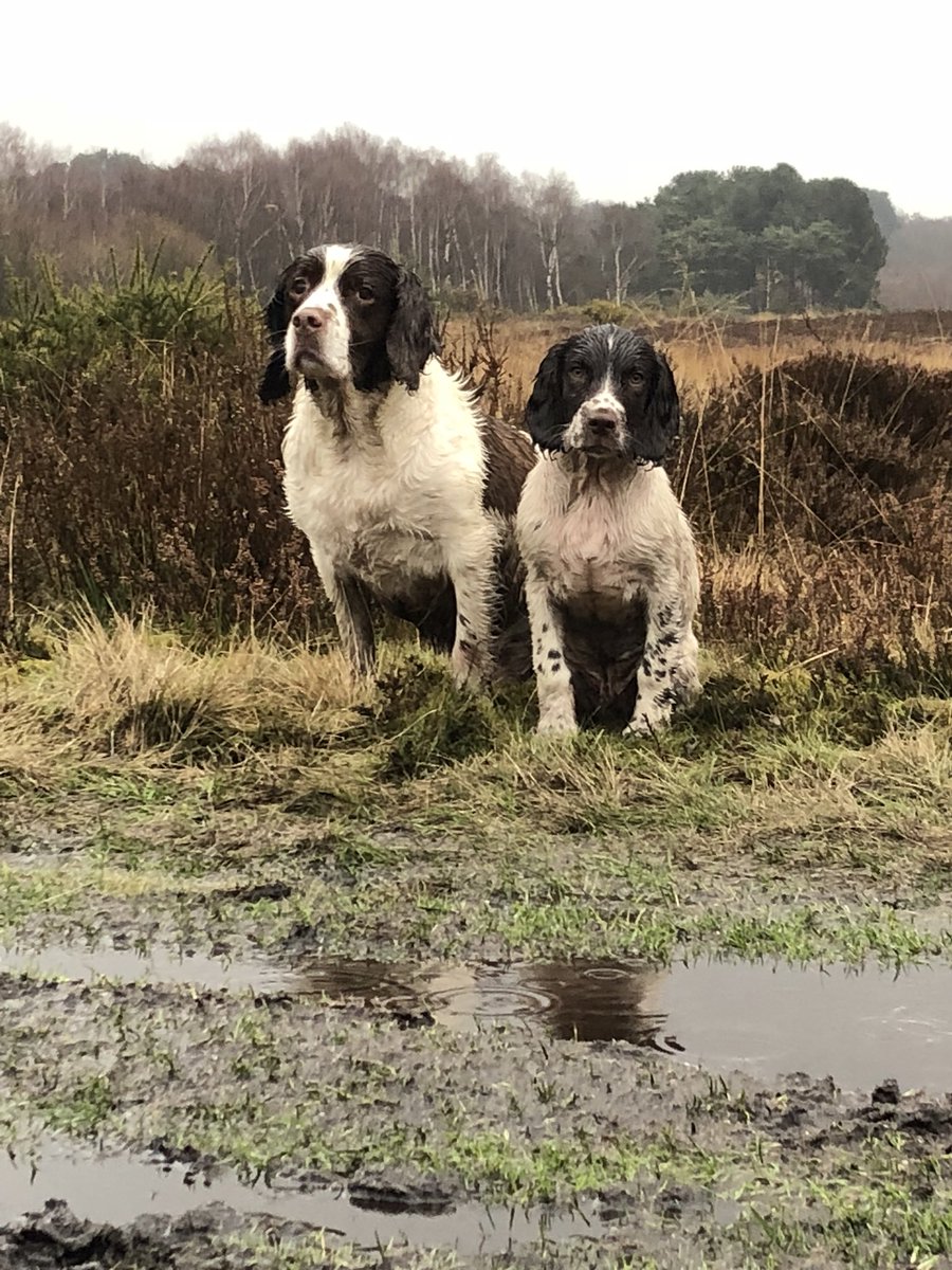 Well that was typical bank holiday weather. We had a staff outing today. You can’t really tell by the look on their faces but they did enjoy it. On the plus side we had the whole park to ourselves #EPCstaffperks