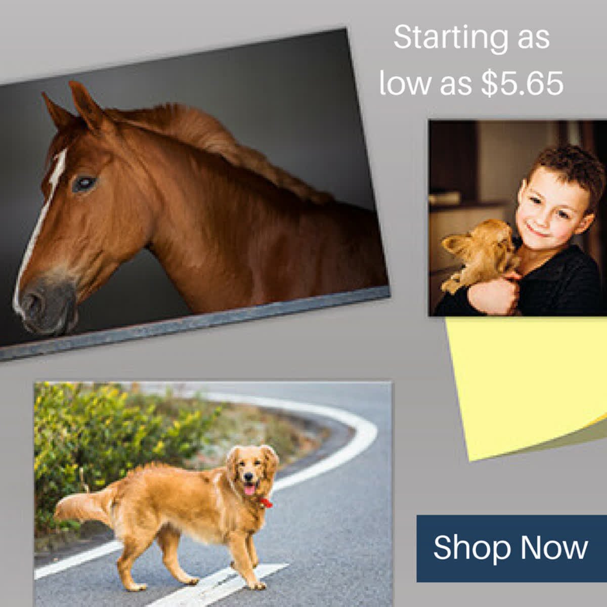 BannerBuzz Canada tweet media