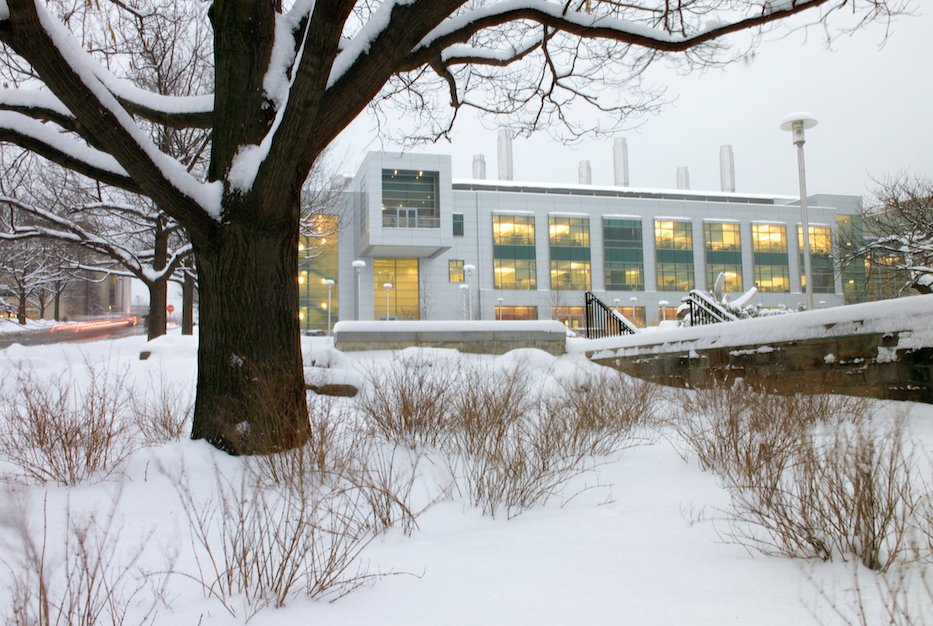 CornellEng's tweet photo. #TBT to when walking to class hurt your face… ⛄ #CornellEngLife https://t.co/U4T0xbgnTB