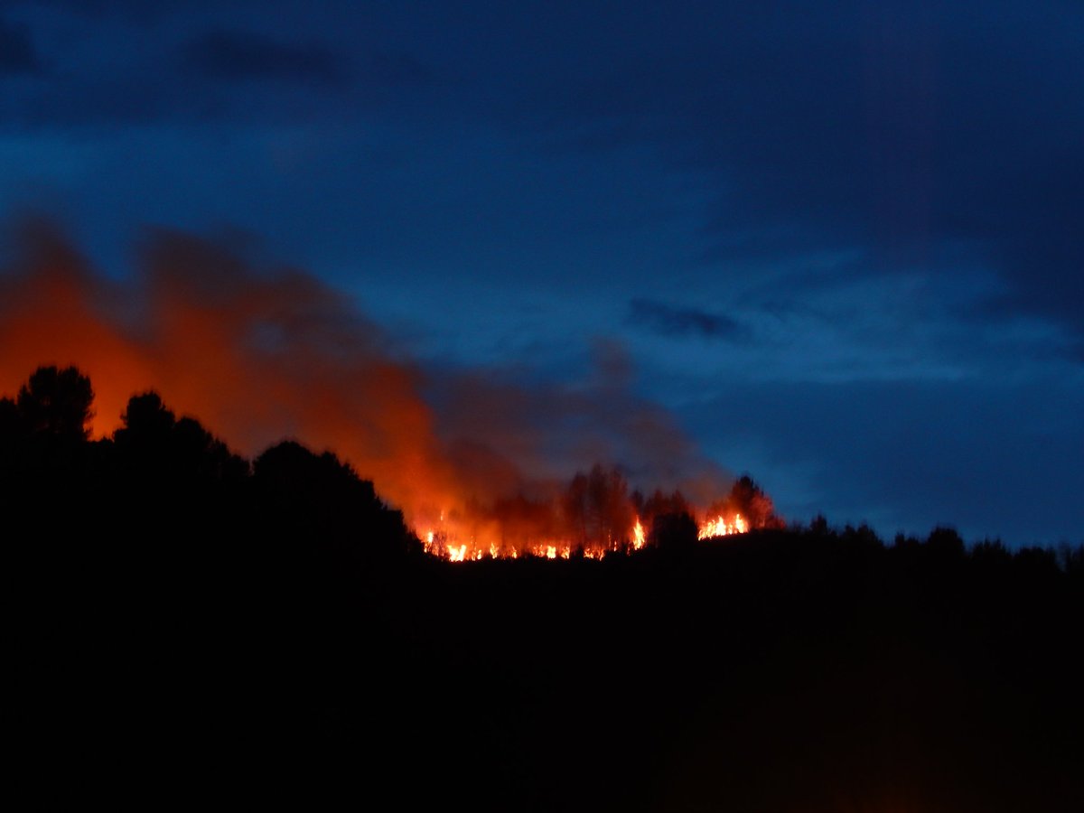 alexcoda_'s tweet photo. Se qualcuno aveva ancora dubbi sulla scelleratezza umana, eccone l'ennesima dimostrazione. Un incendio che divampa sul Monte Serrone tra Pedaso e Campofilone. #cronachefermane #30marzo https://t.co/APq2Toyoao
