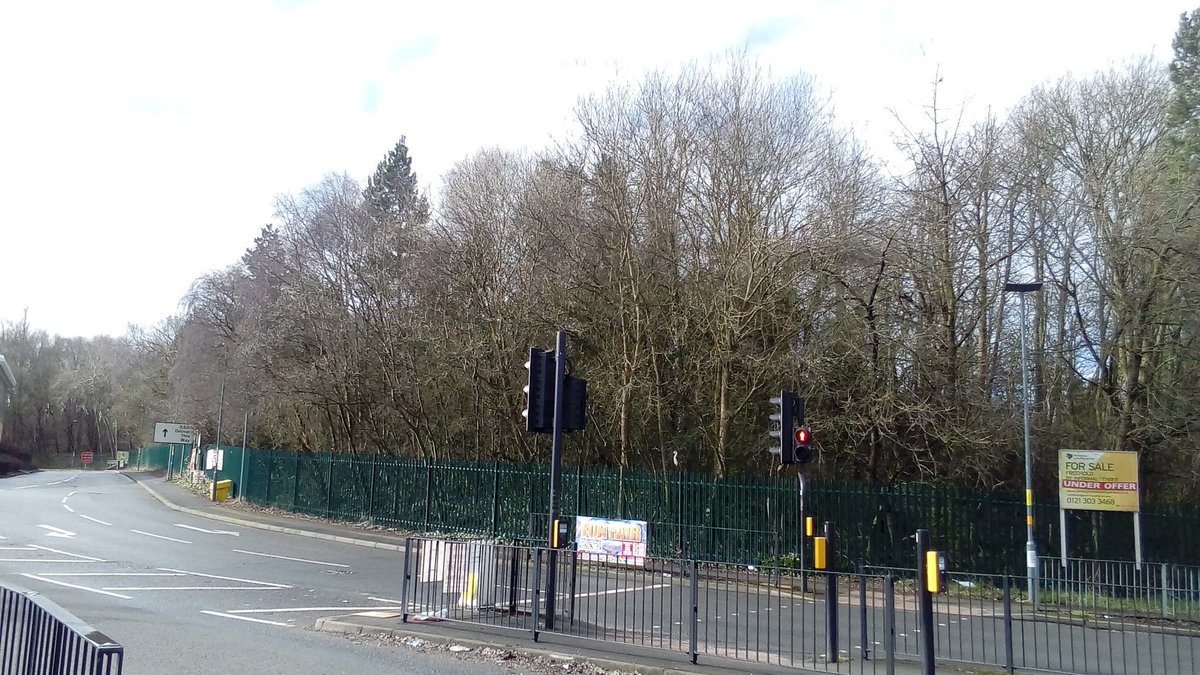 Team4Nature tweet media