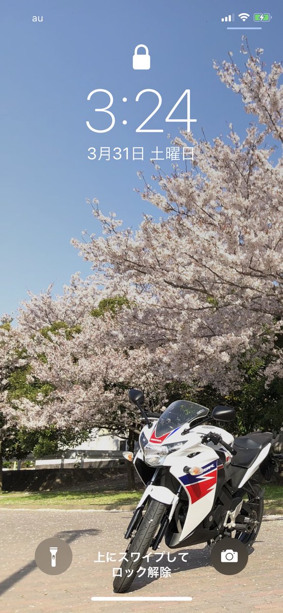 仏の永 なが さん Cbr250rr Cbr125r Pa Twitter これは 良き壁紙 Cbr125r Cbr ホンダ Honda 桜 桜18 バイクと桜 Cbrと桜 Cbr125rと桜 Sakura Sakura18 バイクのある風景 壁紙 Iphone Iphonex Iphone壁紙 Iphonex壁紙 Wallpaper