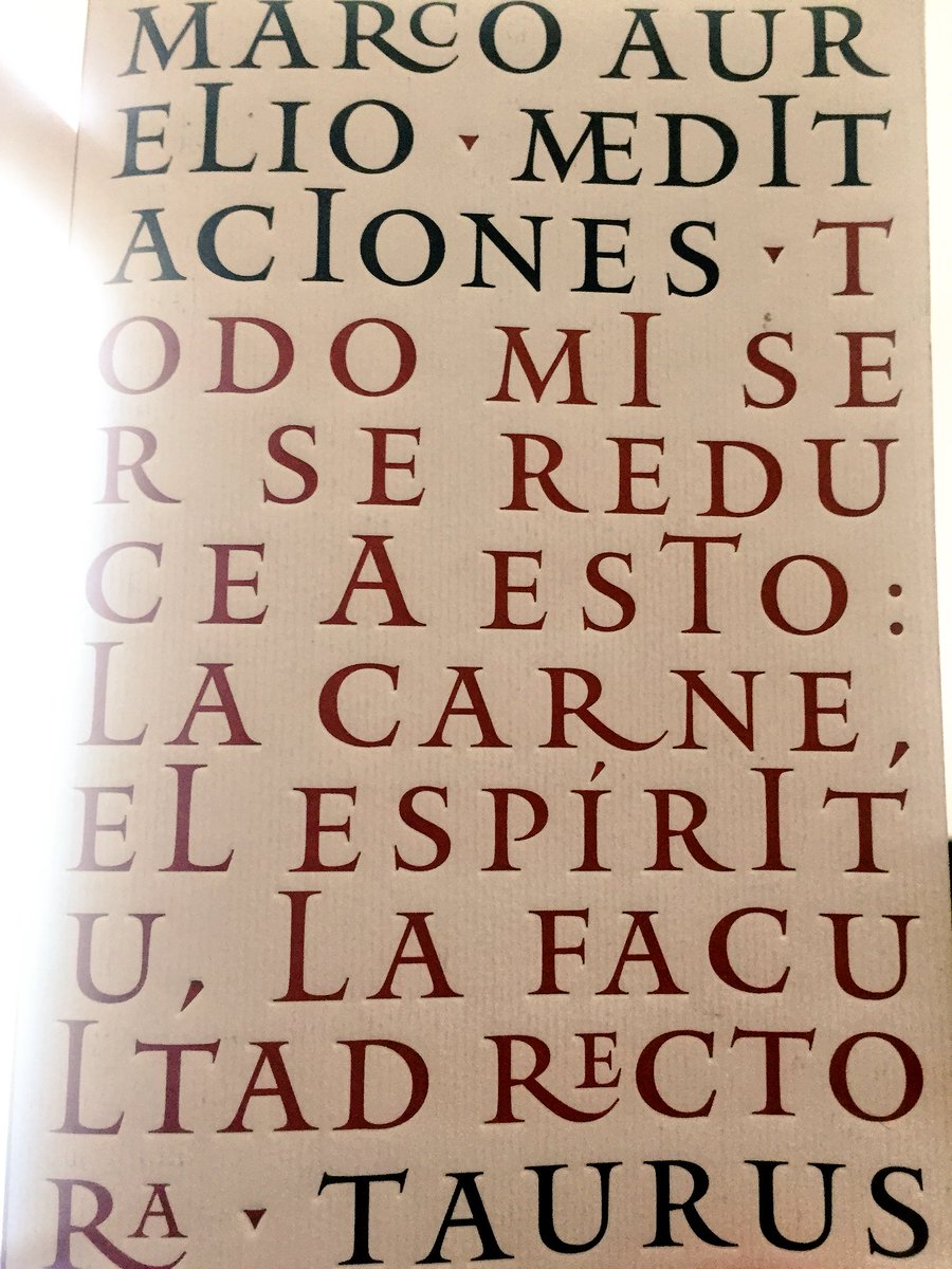 Pájaro tweet media