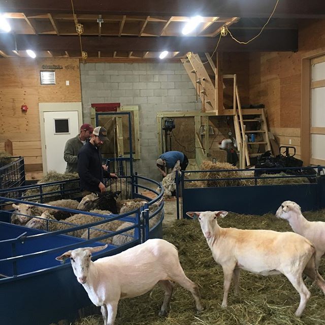 Lillooet Cheesery (LillooetFarm) Twitter