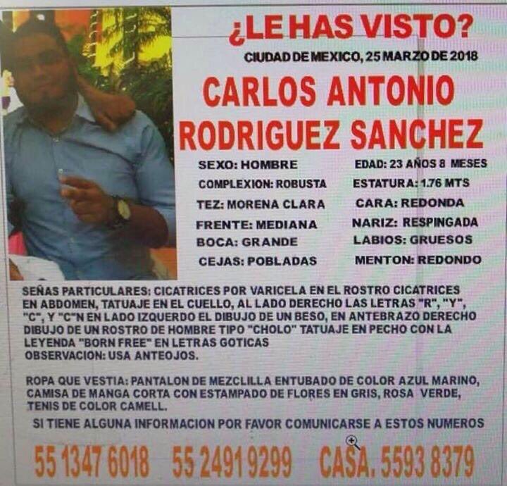 diego luna tweet media