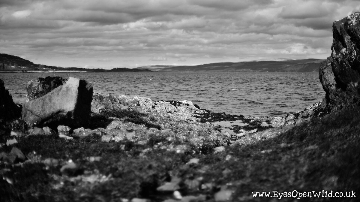 GeorgeMWME's tweet photo. @DuartCastle @DuartTearoom @exploremull @VisitScotland Here's some B/W shots from today. 
More are here on FB. #EyesOpenWild #Mull #Scoland 
https://t.co/ujKTAvzwcG https://t.co/QE8Lz5gNxq