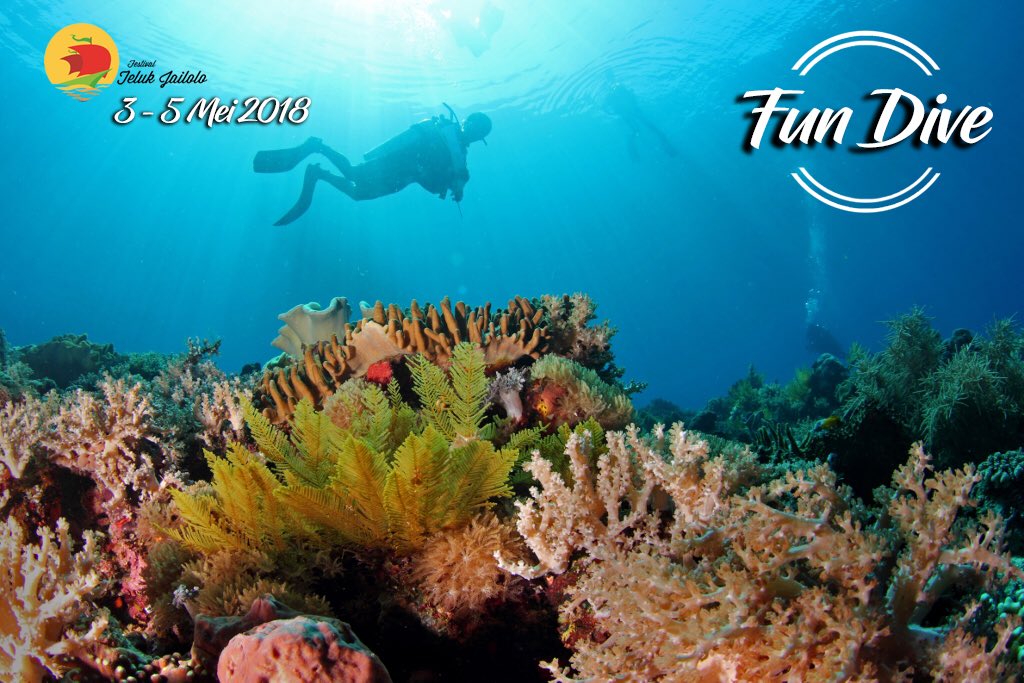 TelukJailolo's tweet photo. Ayo.. pencinta keindahan Bawah laut jadwalkan kunjungan anda di Festival Teluk Jailolo 2018 dan rasakan sensasi menyelam dispot2 dive Teluk Jailolo. 
#festivaltelukjailolo2018 https://t.co/ZoampyIJbe