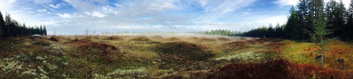 scholarfarms's tweet photo. Drone mapping the Mima Mounds in Washington State this week. Check out this @hangartech 360 panoramic https://t.co/jJT4AXQVO8 Its still a mystery what actually made these #drones4science #mimamounds https://t.co/CypanhQMCe