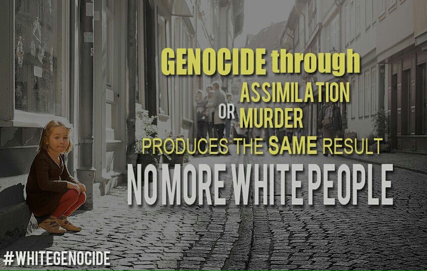 WhiteGenocideOz's tweet photo. @OnlineMagazin @RightStuff47 #WhiteGenocide only good enough for WHITE countries #ProWhite not #ProRight https://t.co/SI0aEd0d8u