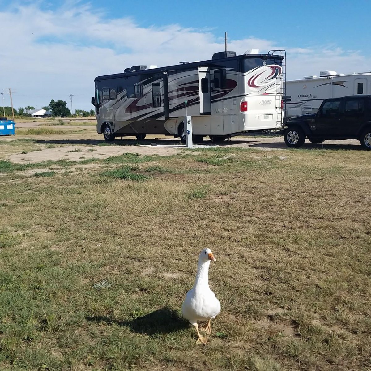 Genoa RV Park (GenoaRVPark) Twitter