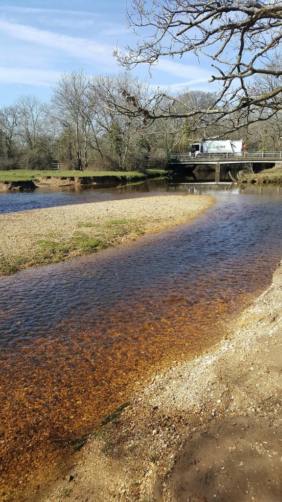 Crestwood_DfE's tweet image. YEAR 11 - GEOGRAPHY FIELD TRIP 

Pictures below are of the same river at Balmer Lawn, Lyndhurst.

First picture was taken on Monday by Mrs Lance.
The second picture was also taken by Mrs Lance today! (Wednesday) 

🌤☀️🌤What a difference! ☔️💦🌧
#DataCollecting #RealGeography