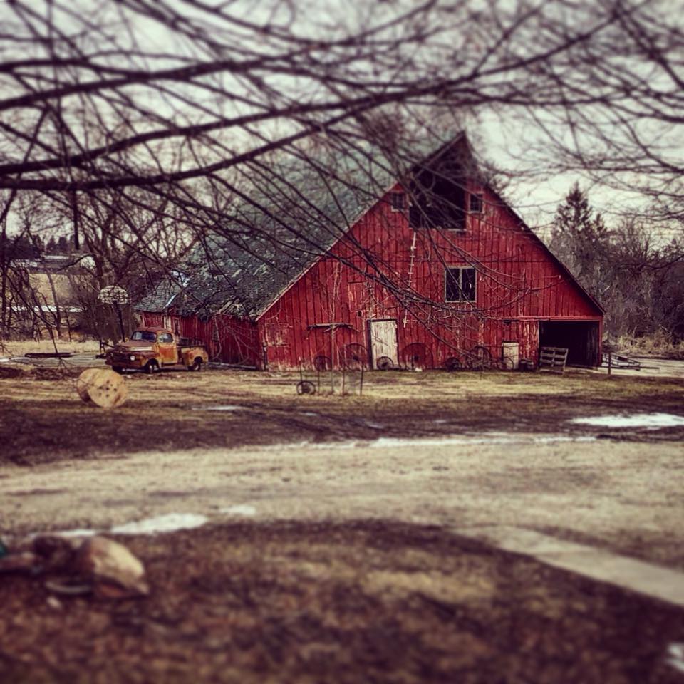 IowaBarns's tweet photo. On Willow Pond's Near Peterson Iowa #onwillowPond #Barns #iowabarns https://t.co/18Dkc7iBVl