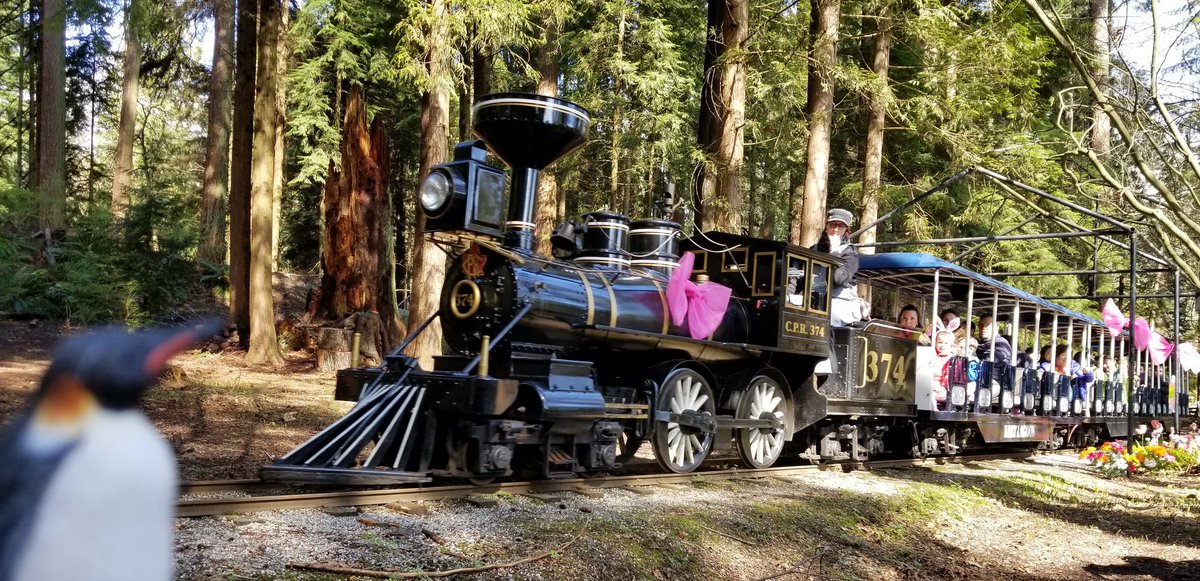 vancitypenguin's tweet photo. Little known fact: Penguins love Easter. So I went to watch the Stanley Park Easter Train. I also hunted for some chocolate eggs.
#Easter
#stanleypark #eastertrain #vanparks #vancouver #penguins #2018yearofthepenguin https://t.co/QXZhtGJXJ7