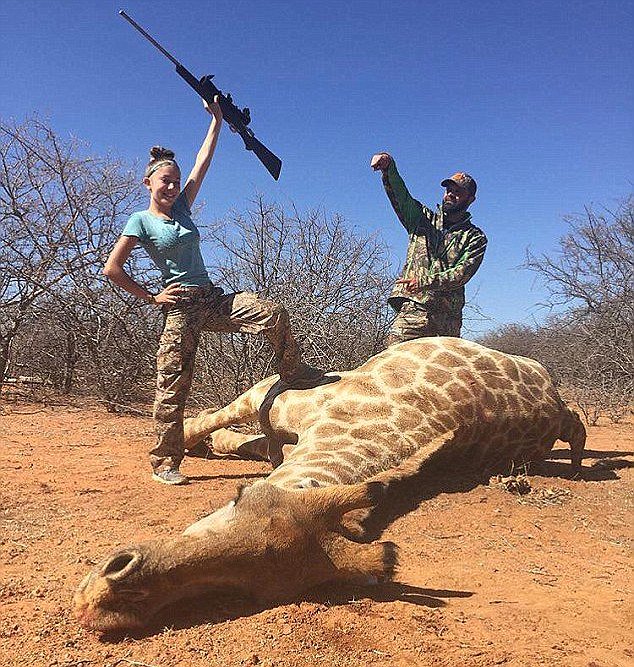 PROTECT ALL WILDLIFE tweet media