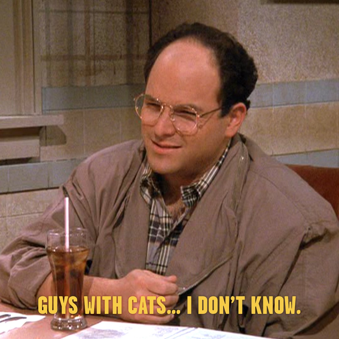 Tag your guy friends who love cats! #TheStockTip #Seinfeld https://t.co/IFAl8zhER8