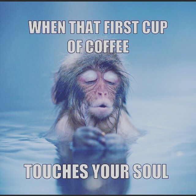 ThetaRidgeSB's tweet photo. Who can relate? π π·: @muldoonscoffee #thetaridgecoffee #coffee #coffeeroasters #roasting #coffeeroaster #coffeeroasters #coffeeroast #coffeelovers #specialtycoffee #coffeeroastery #coffeehouse #fuelyourcoffee #coffeefestbaltimore https://t.co/4x2ktbO5yP