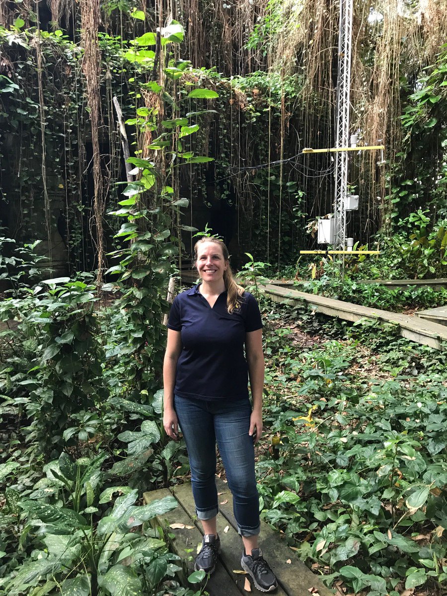 CALS Research tweet media