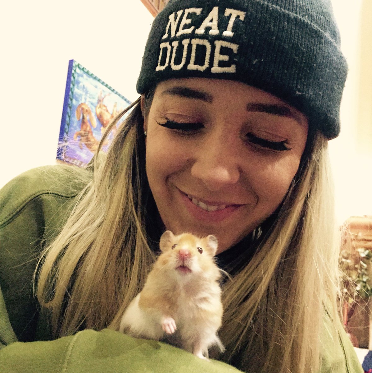 adTheHamster's tweet photo. our fav lil guy ad has unfortunately passed away first of all I wanna send all my love to @Jenna_Marbles &amp; @JulienSolomita so sorry guys. 
and I wanna thank everyone for sticking with this acc for our boy ad,Jenna and Julien gave him his best life.
rip lil bud https://t.co/7TcTSmxaOA