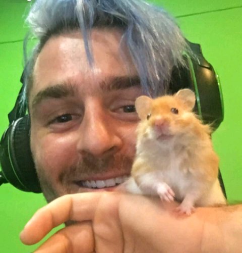 adTheHamster's tweet photo. our fav lil guy ad has unfortunately passed away first of all I wanna send all my love to @Jenna_Marbles &amp; @JulienSolomita so sorry guys. 
and I wanna thank everyone for sticking with this acc for our boy ad,Jenna and Julien gave him his best life.
rip lil bud https://t.co/7TcTSmxaOA
