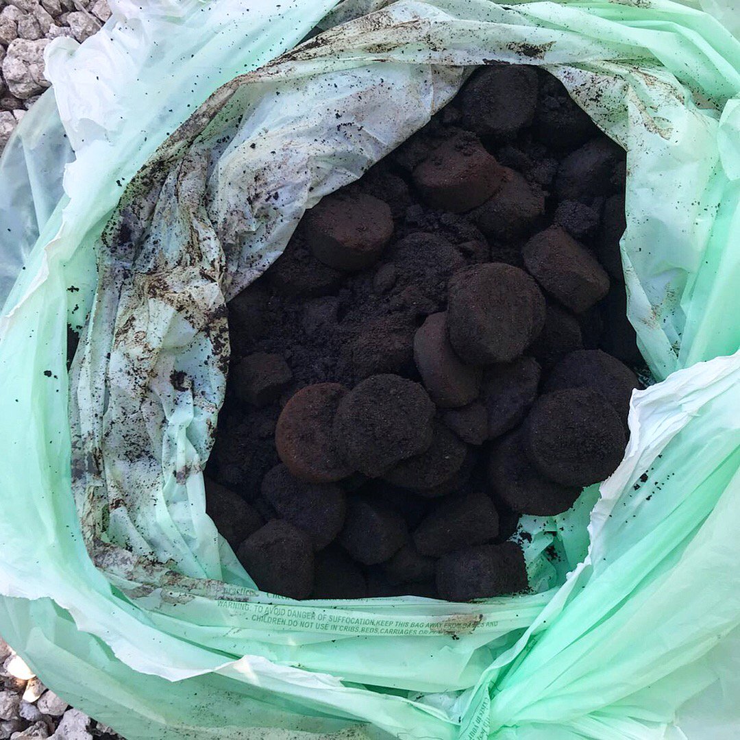 back2earthUSA's tweet photo. 🌎☕️ we look forward in collecting weekly coffee grounds from local starbucks thanks to their garden program. That’s right, businesses can also compost 👍 #back2earth #homecomposting #easycomposting #southmiami #climatechange #climatechangepledge #miamisearise #sealevelrise https://t.co/W5suE65eyR