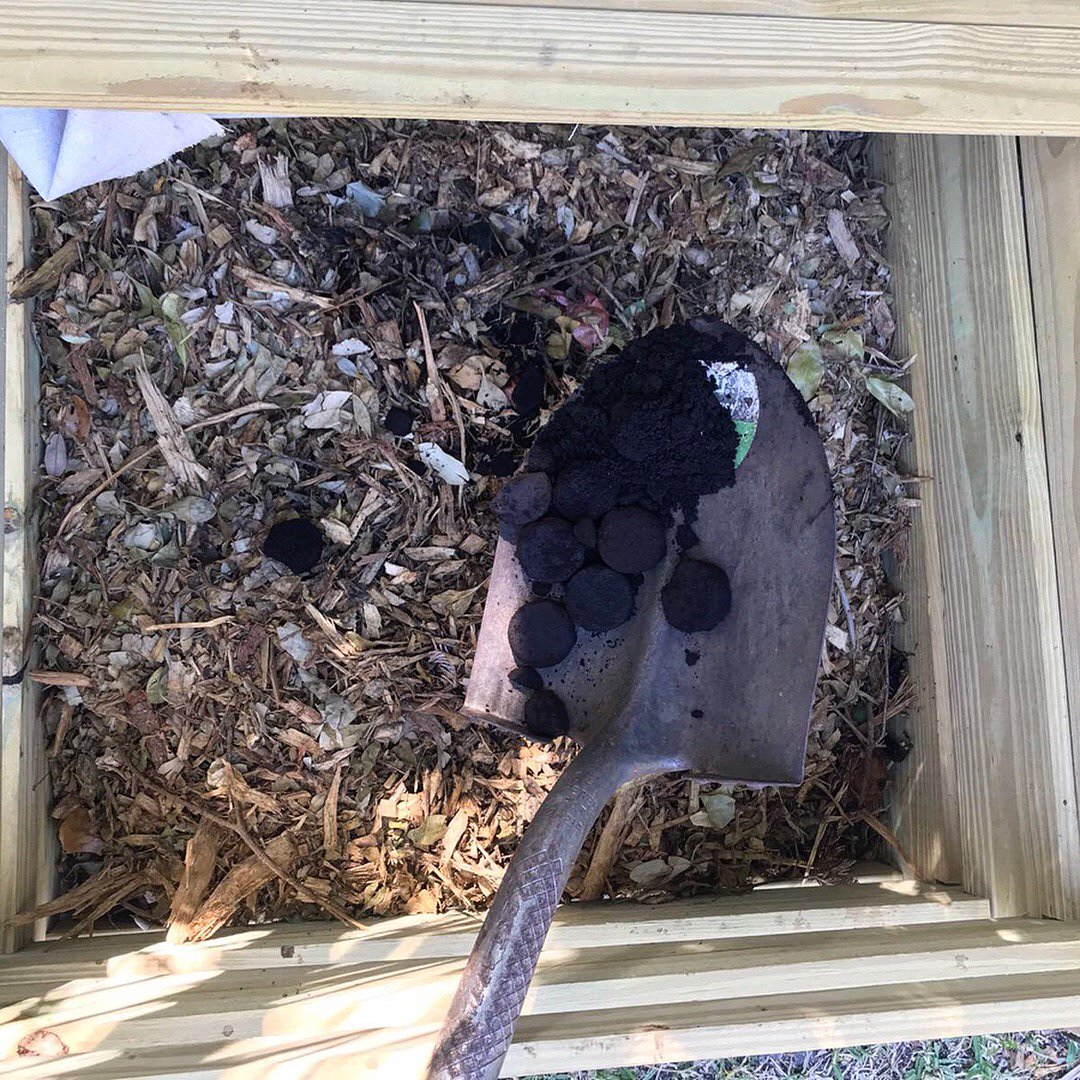 back2earthUSA's tweet photo. 🌎☕️ we look forward in collecting weekly coffee grounds from local starbucks thanks to their garden program. That’s right, businesses can also compost 👍 #back2earth #homecomposting #easycomposting #southmiami #climatechange #climatechangepledge #miamisearise #sealevelrise https://t.co/W5suE65eyR